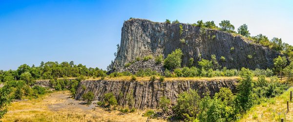 Mastering the Art of Cat Training: A Guide to Introducing Your Feline Friend to an Automated Litter Box